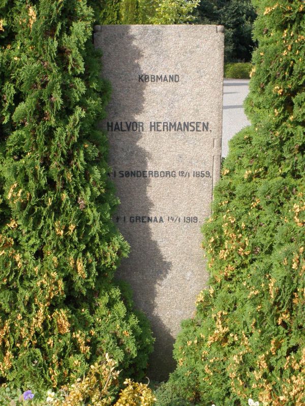 Halvor Hermansen.JPG